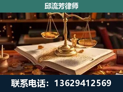 屏边-刑事案件